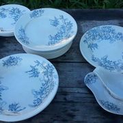 Part of the Floreal service from the Givors Earthenware Factory (Grigny Rhône)