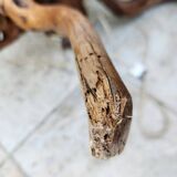 Large table lamp vine trunk