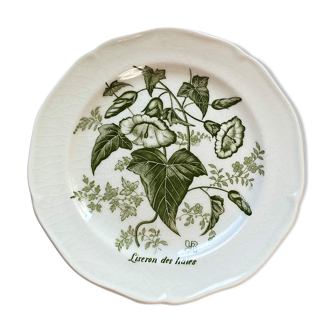 6 Gien 70' dessert plates