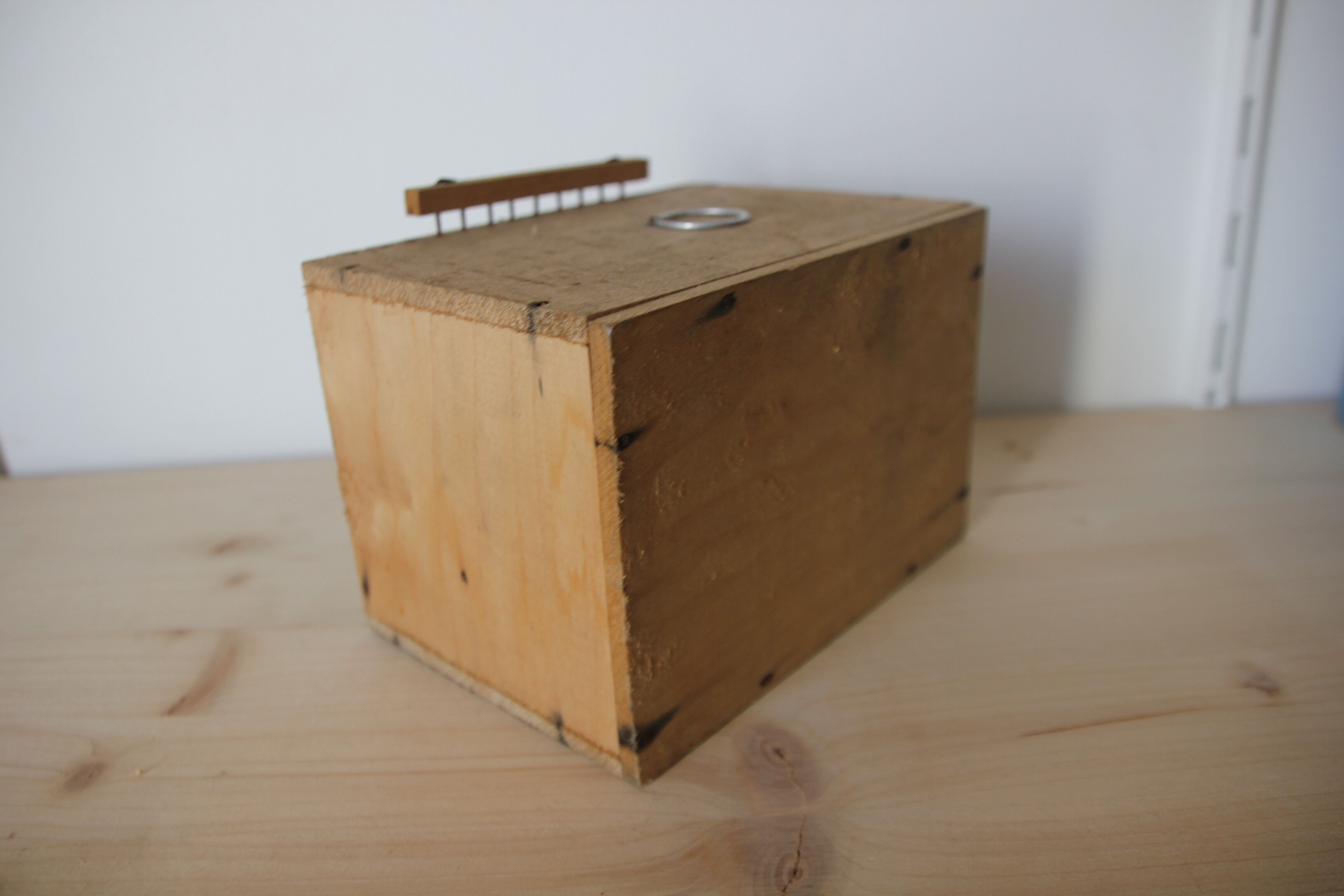 Cage à oiseau