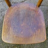 Lot of 2 chairs Thonet 1960 wood