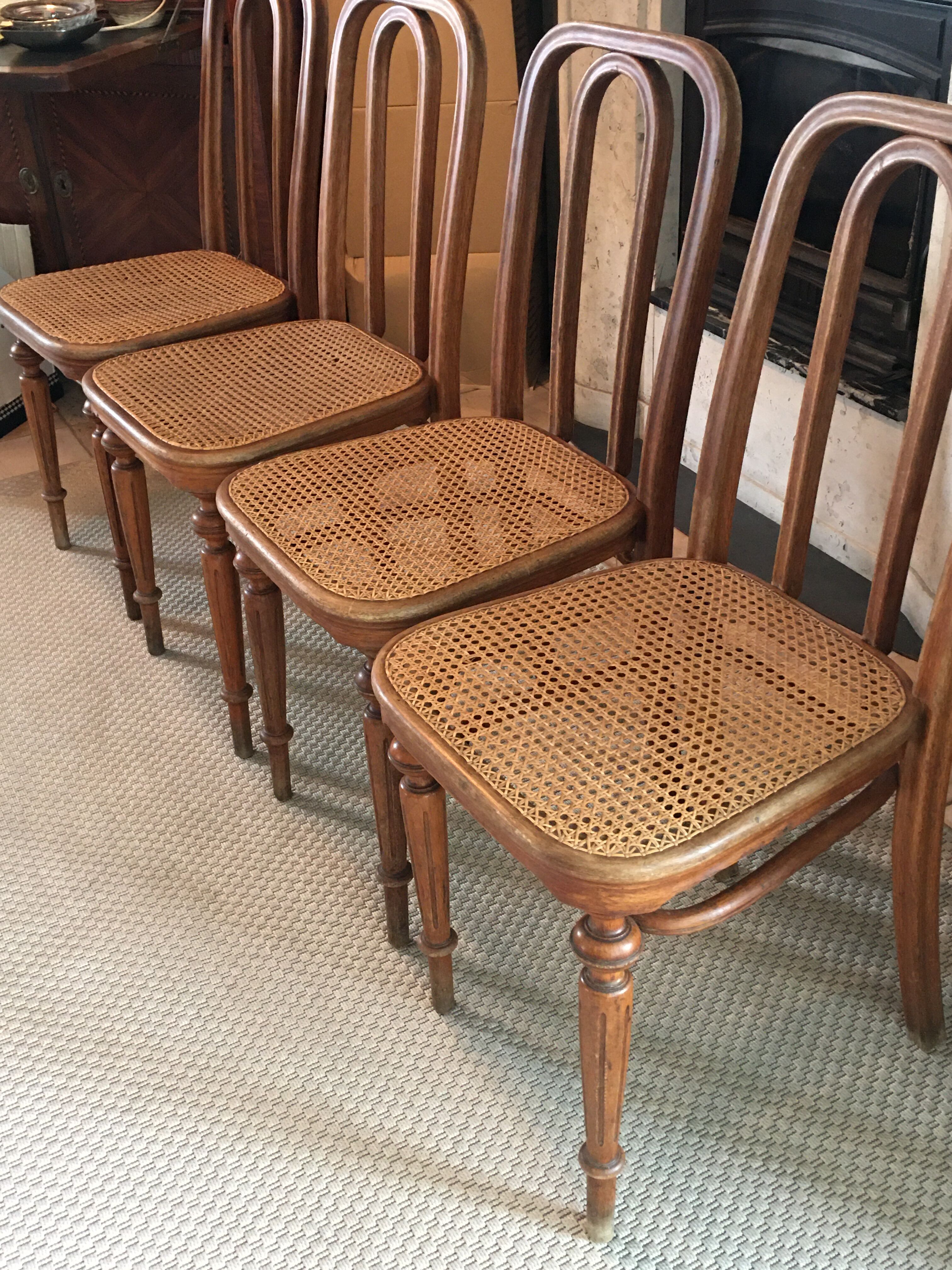 4 Thonet chairs N41