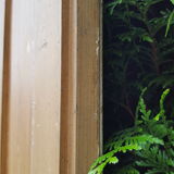 Old molded separation door