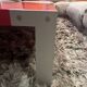 Liko red coffee table