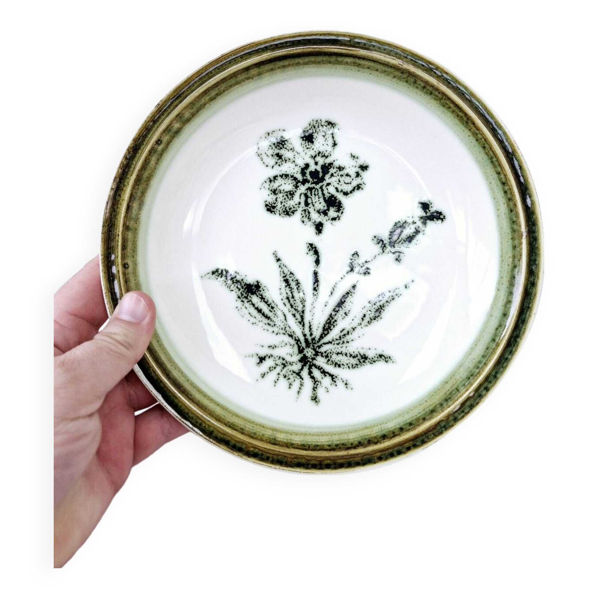 8 vintage hollow plates earthenware Gien model Herbiers table arts France