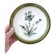 8 vintage hollow plates earthenware Gien model Herbiers table arts France