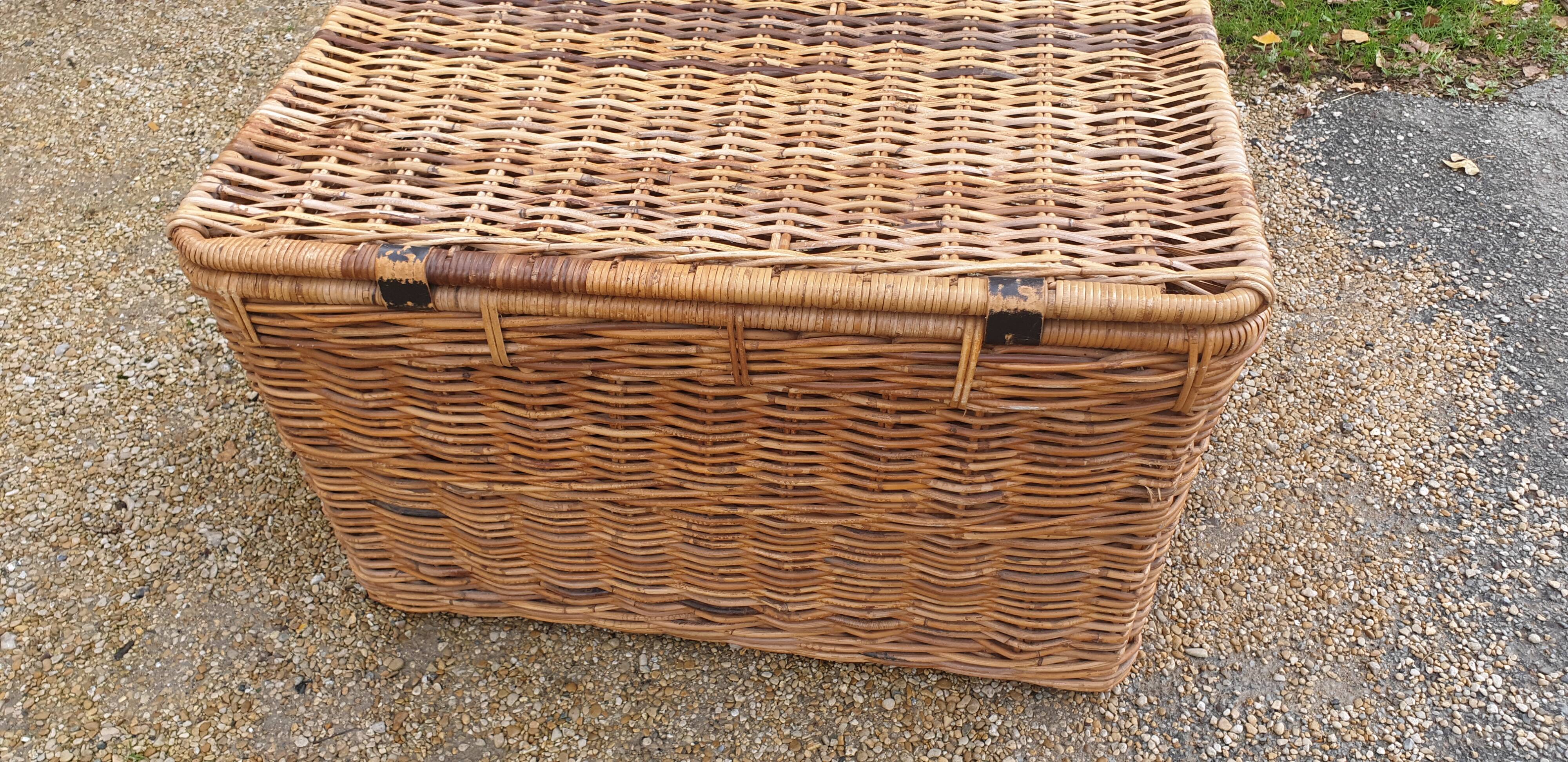 Rattan trunk