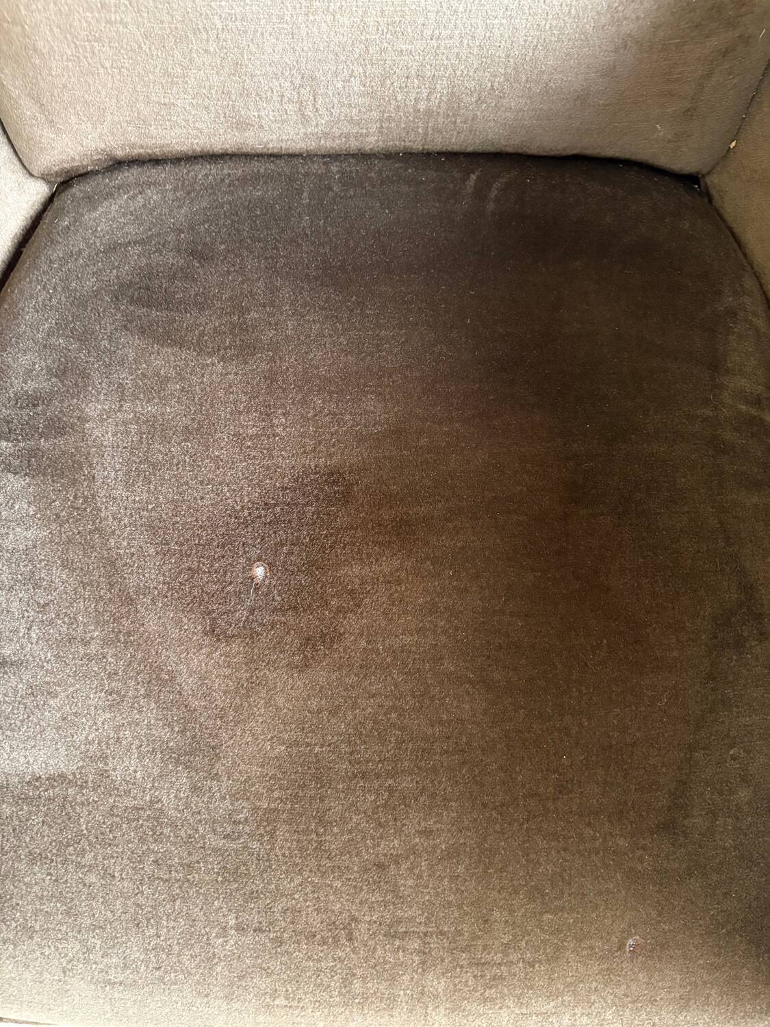 Brown velvet living room