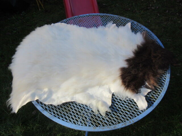 Sheepskin