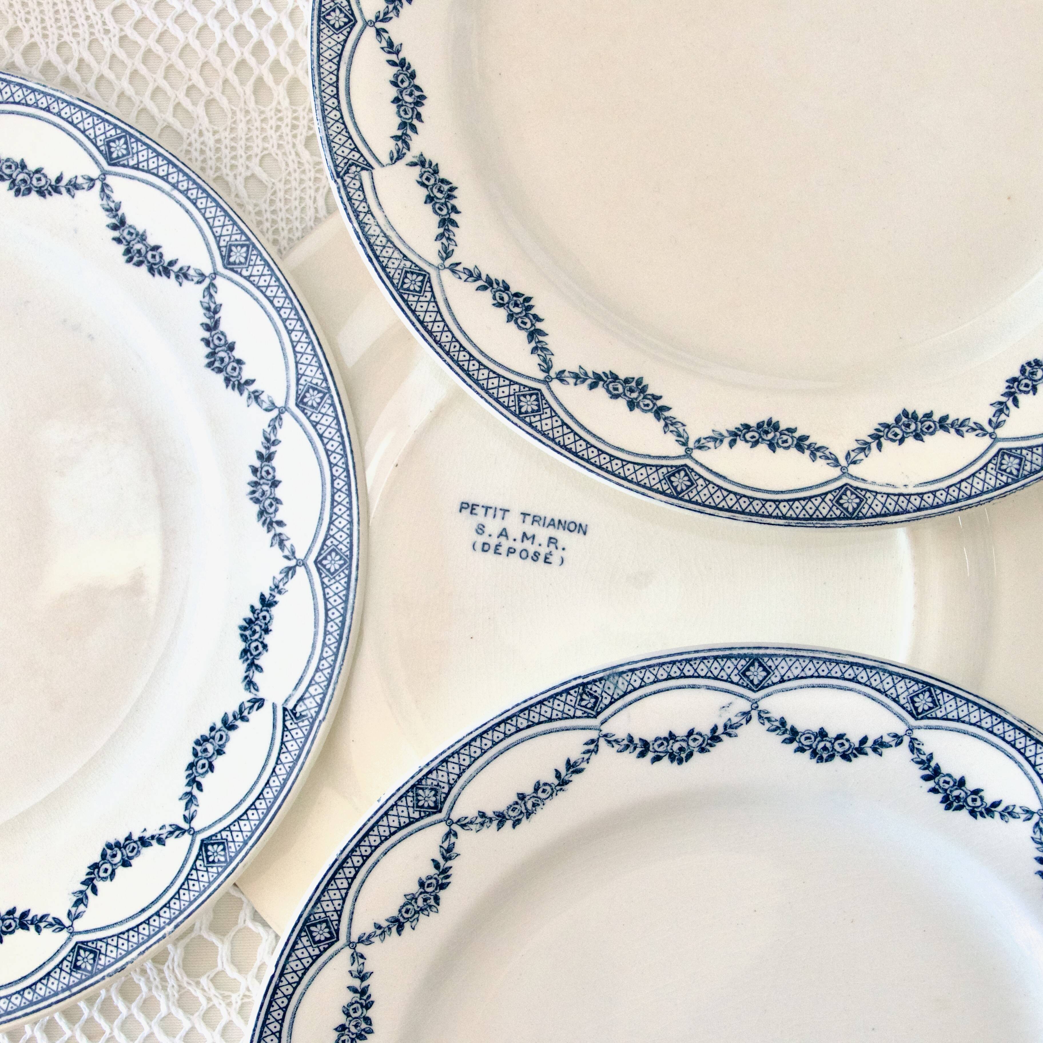 9 19th century ironstone dinner plates from Salins Petit Trianon