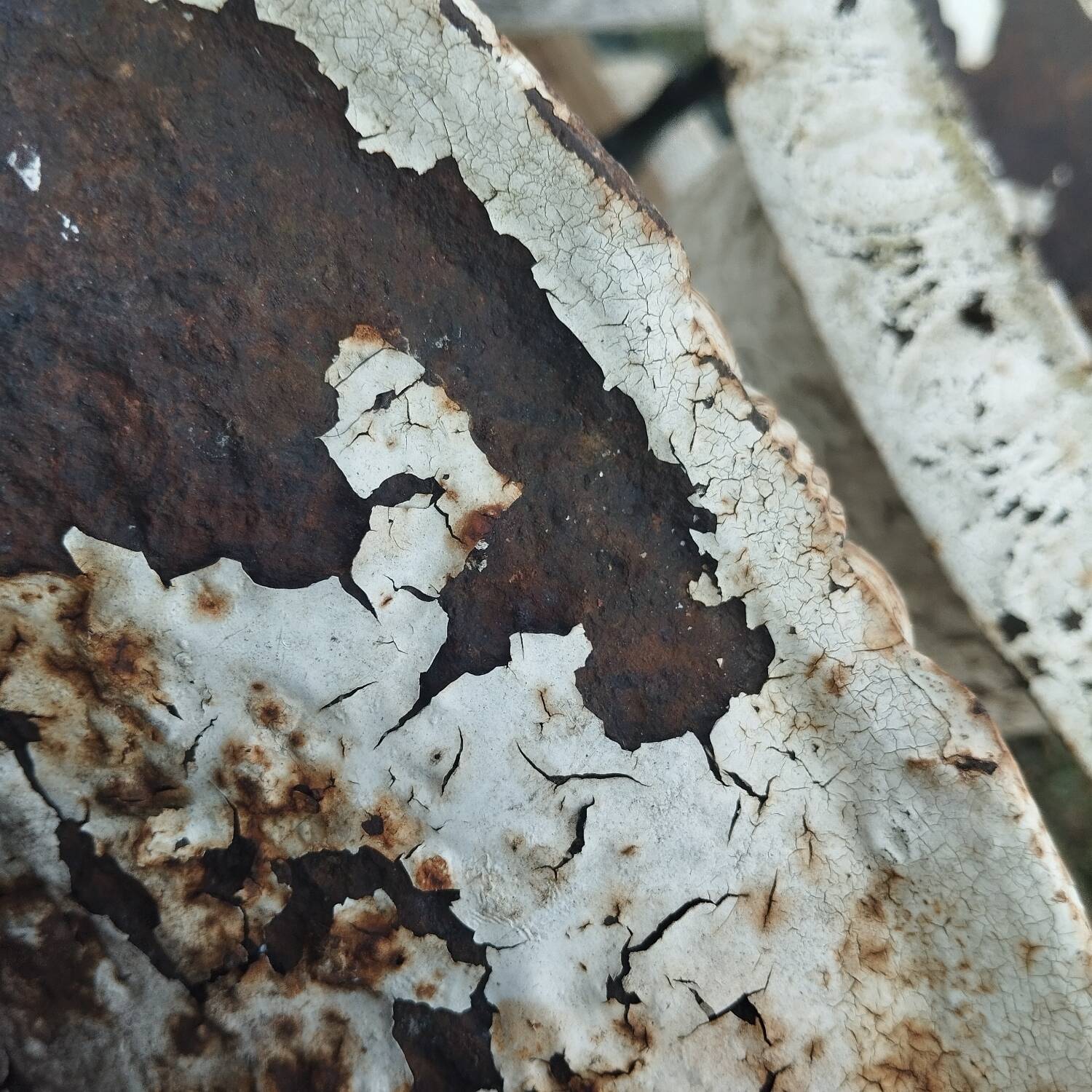 Pair of Medici vases in cast iron