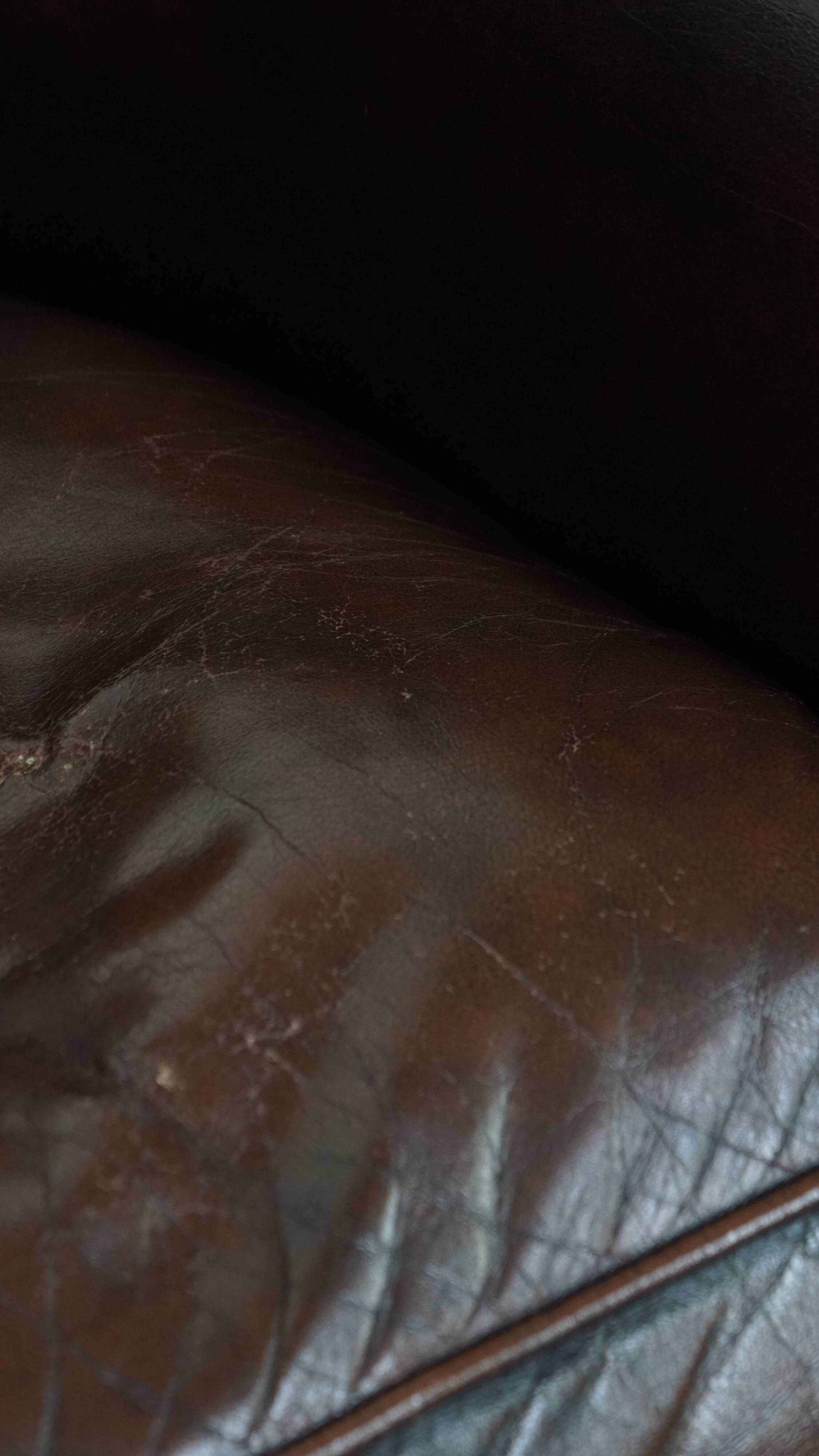 Fauteuil club de couleur foncée en cuir de vachette