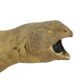 Big Stuffed Spiny-Tailed Dragon Lizard Taxidermy Africa Middle East Agamidae