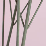 Desk tubax Willy Van Der Meeren 1950