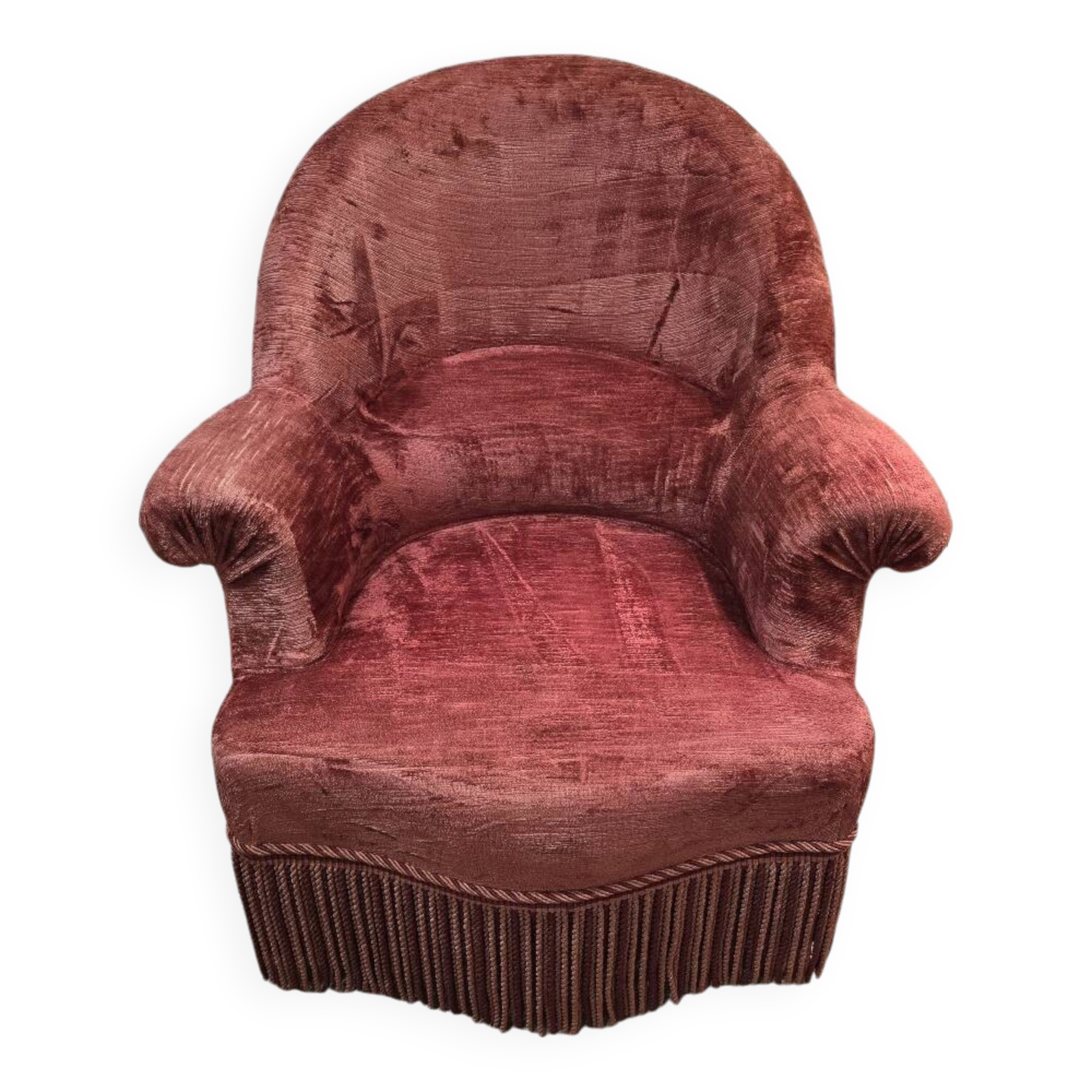 Burgundy velvet toad