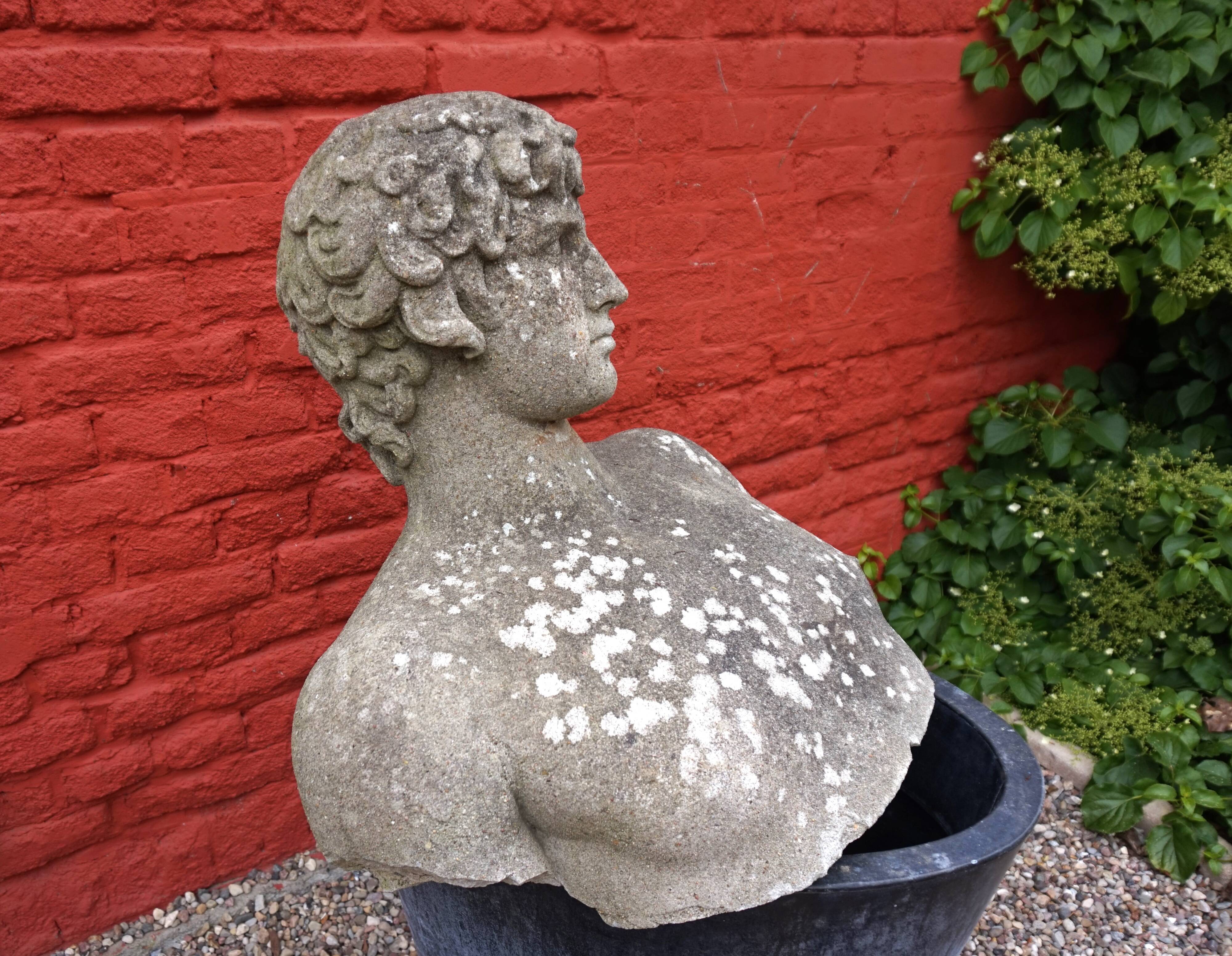 Weathered garden sculpture David concrete bust