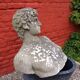 Weathered garden sculpture David concrete bust