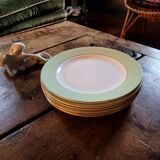 Amandinoise dinner plates