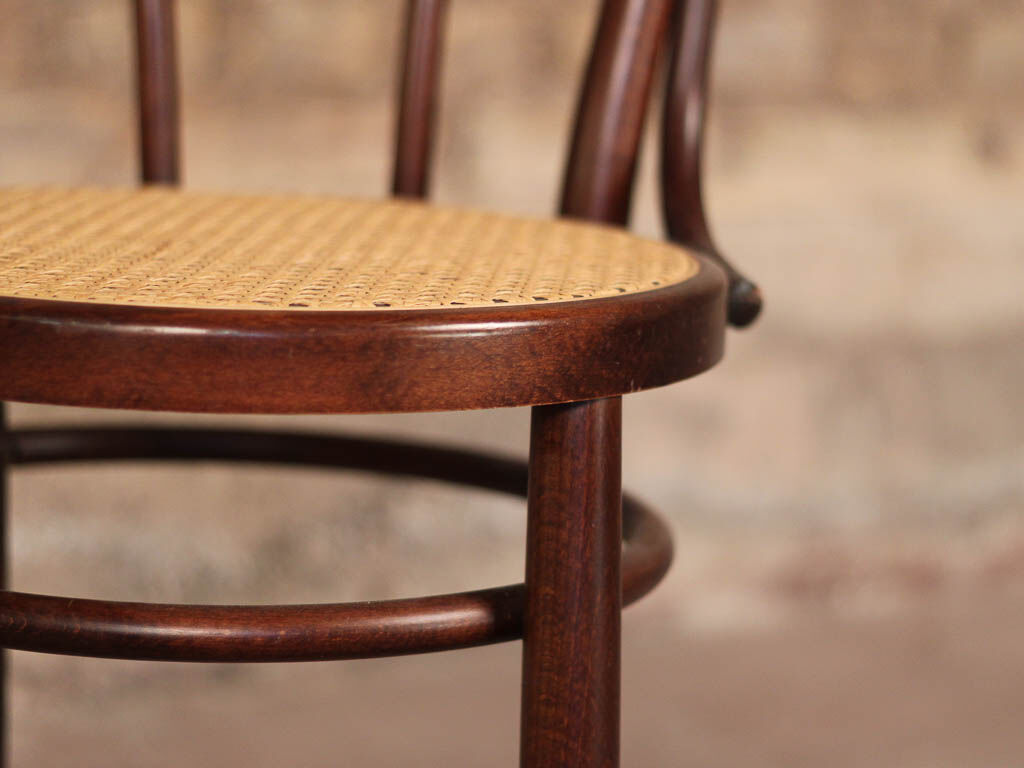 Curved wooden chair and tuna-