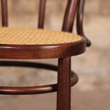 Curved wooden chair and tuna-