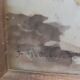 Pair of paintings