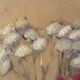 Bouquet of flowers, oil on wood panel, signed Vlad Tiberin.