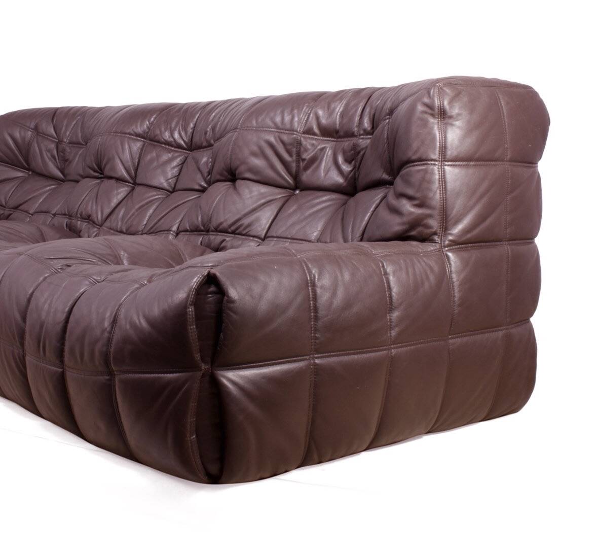 Ligne roset kashima leather sofa Michel Ducaroy