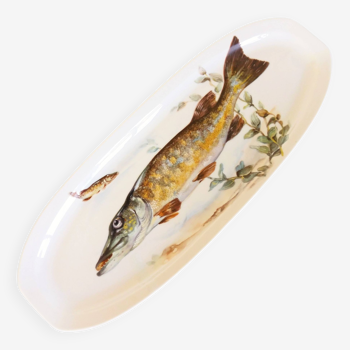 Plateau de service de poisson extra long. Grande assiette à poisson ovale.
