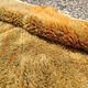 Large ochre and mustard Moroccan Mrirt rug 350x300 cm – diamond pattern
