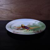 Antique large oval Limoges porcelain dish with painted pheasant decoration.