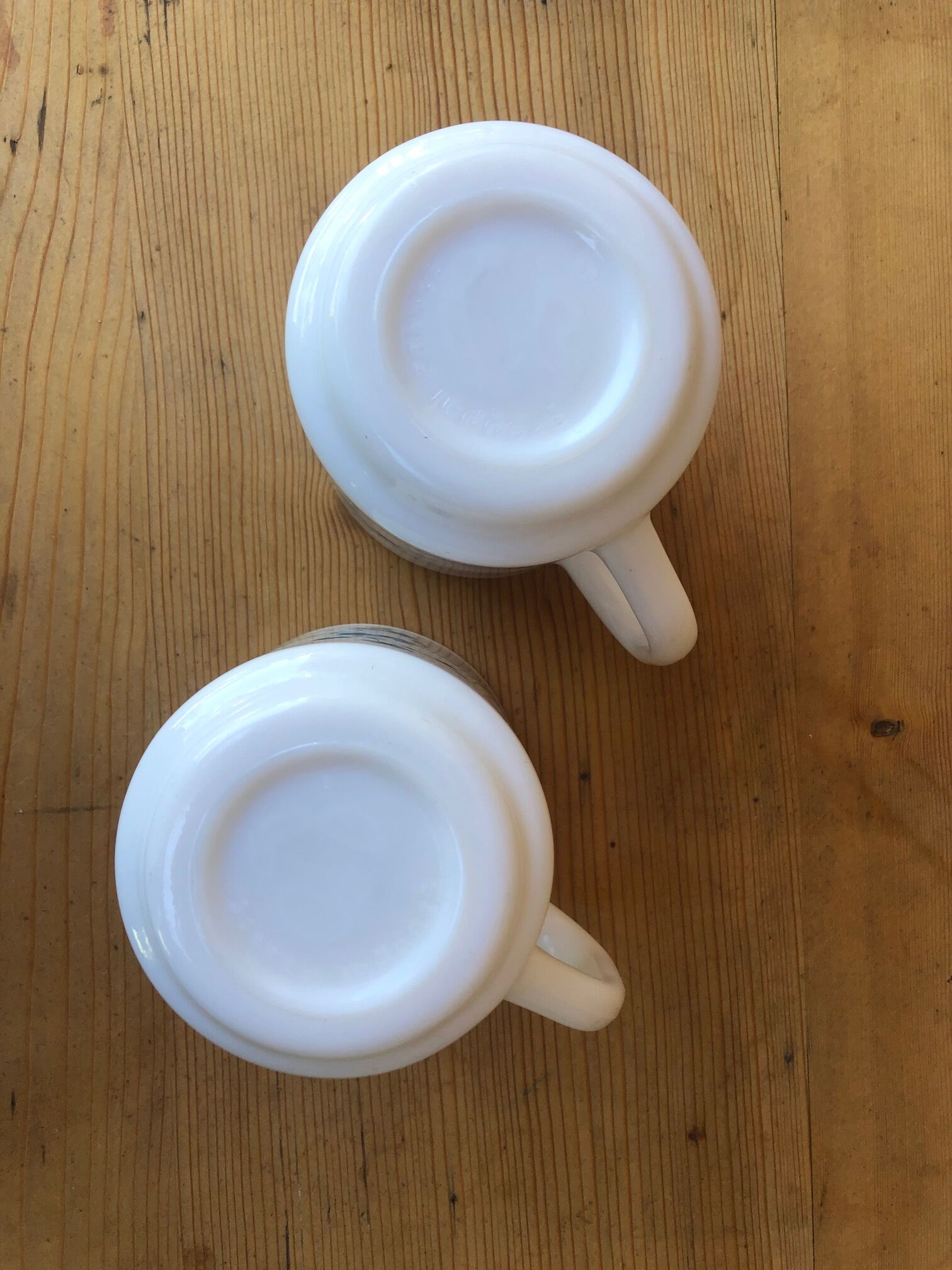 Duo of mug Arcopal Veronica décor flower blue forget-me-not.