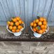 Two Openwork Fruit Bowls