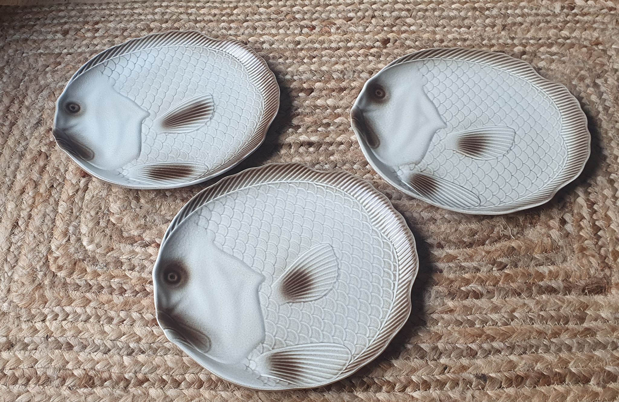 Ensemble de 12 assiettes plates et plat