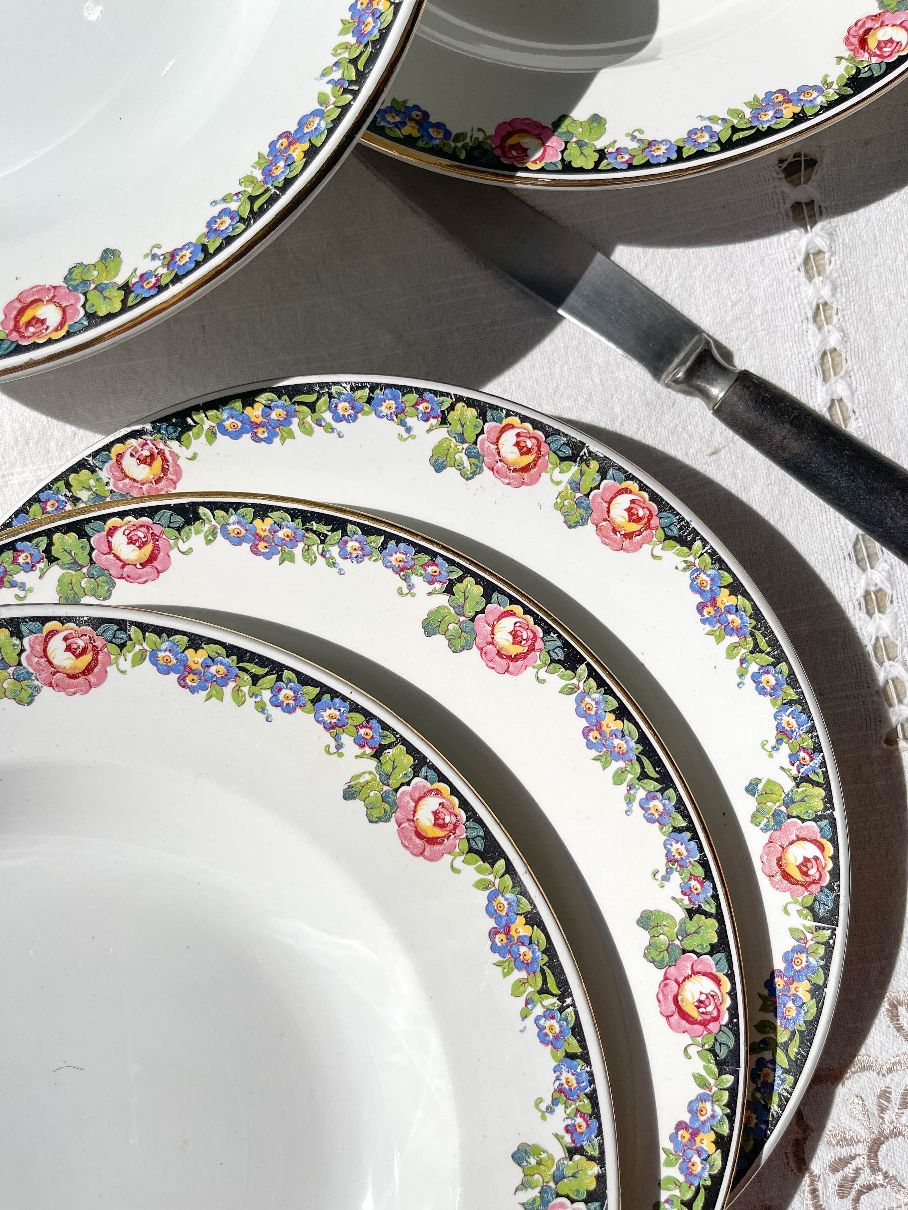 6 Digoin opaque porcelain soup plates with floral pattern "3984"