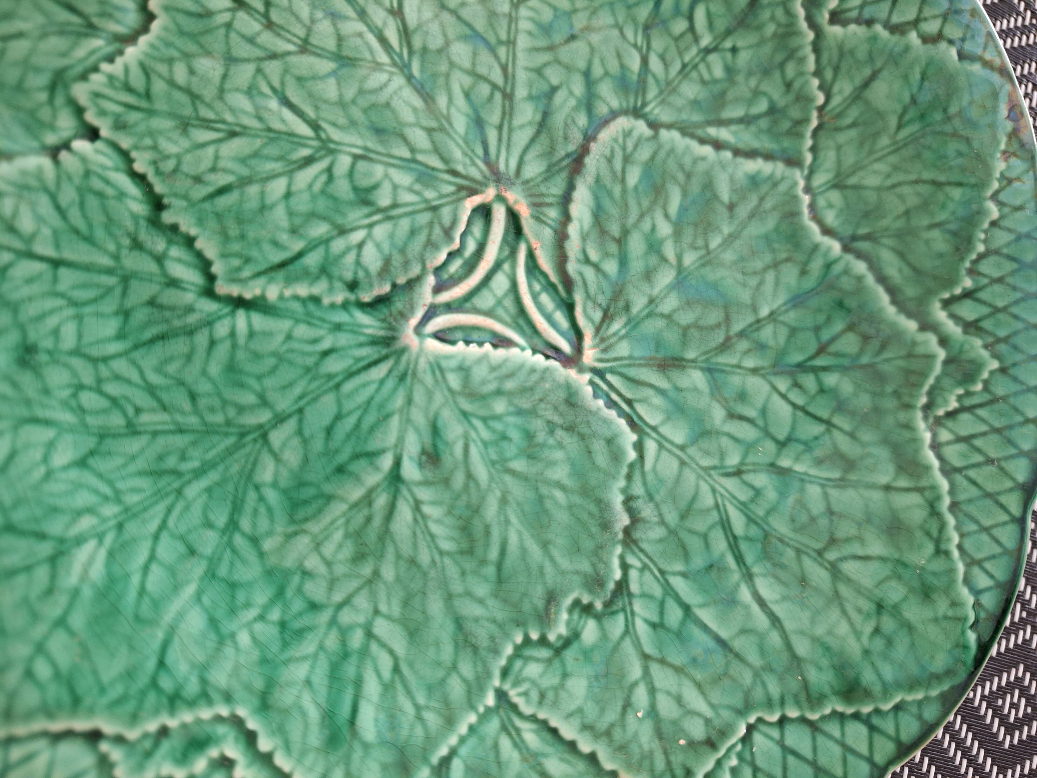 Green plate leaf of gien france