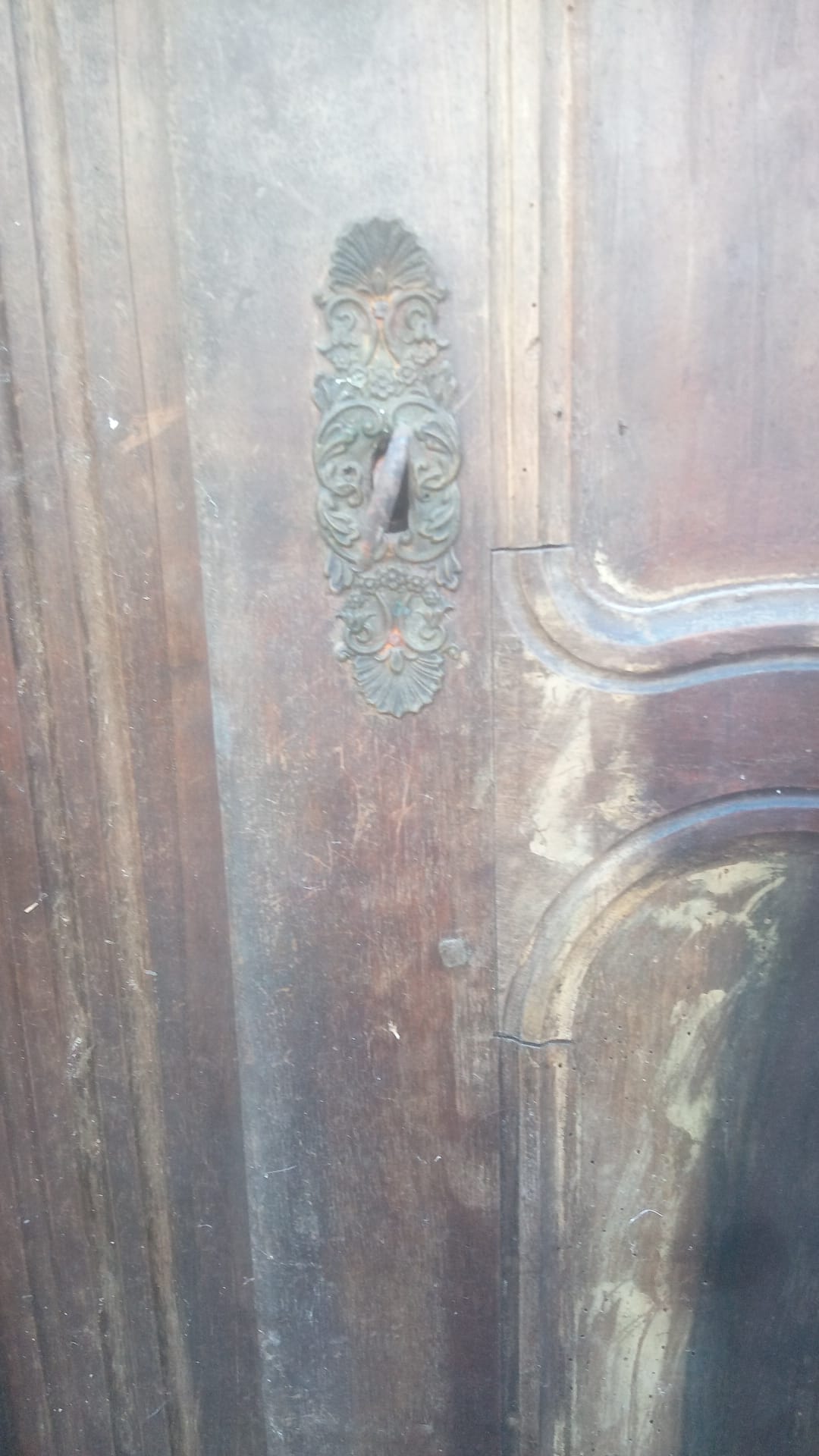 Pair of antique doors in 18th-century Louis XV style.