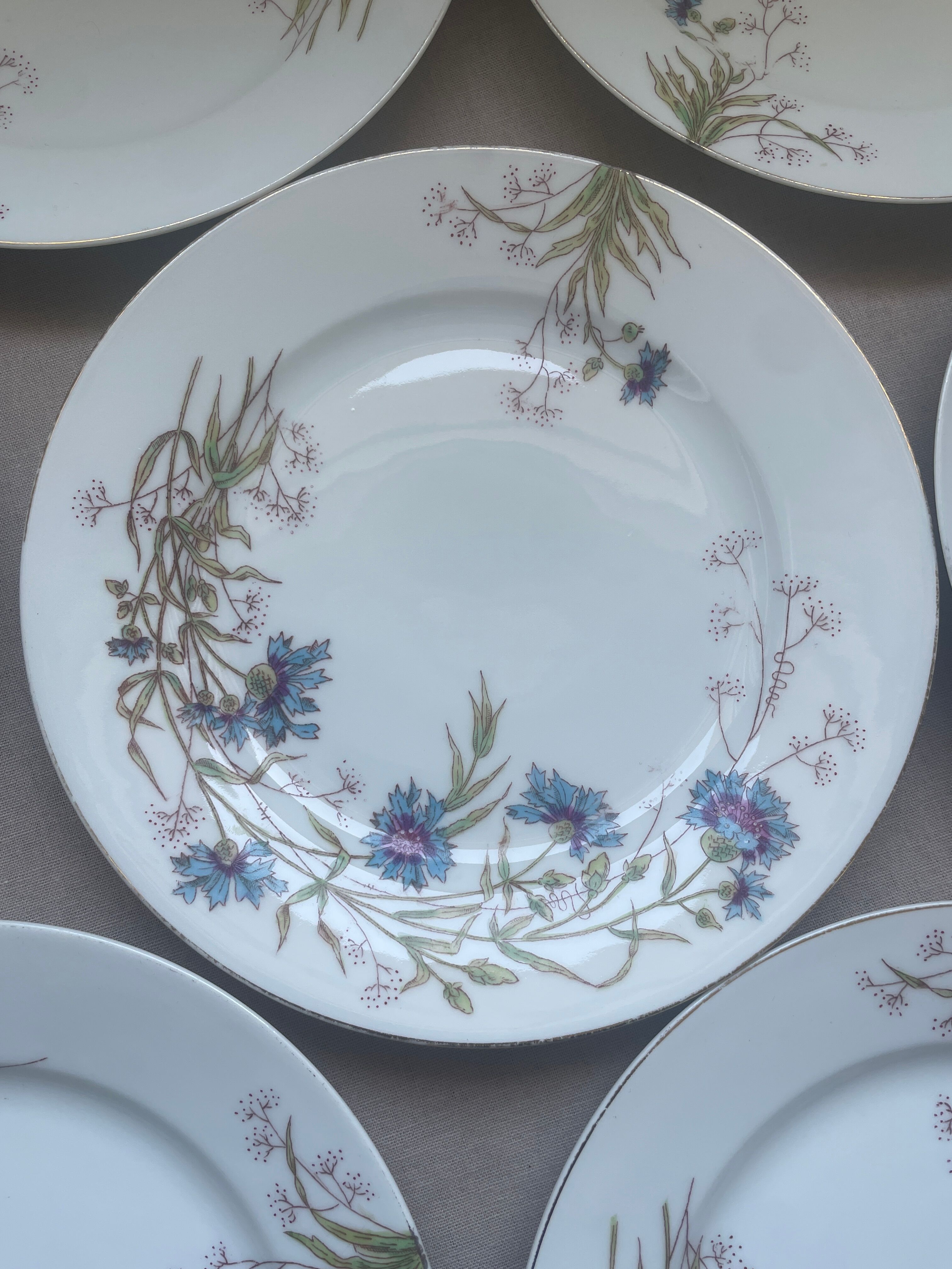 8 vintage plates with romantic chic country cornflower decoration.