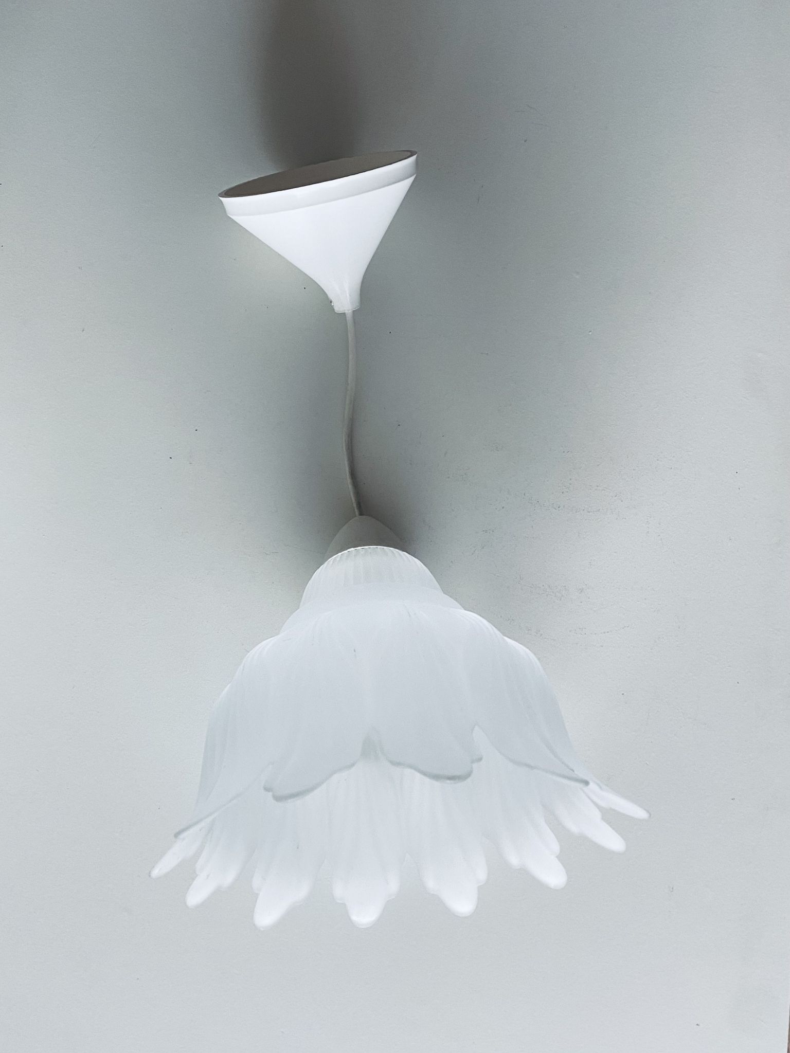 Suspension végétale en verre