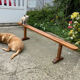 Old farmhouse bench early twentieth century