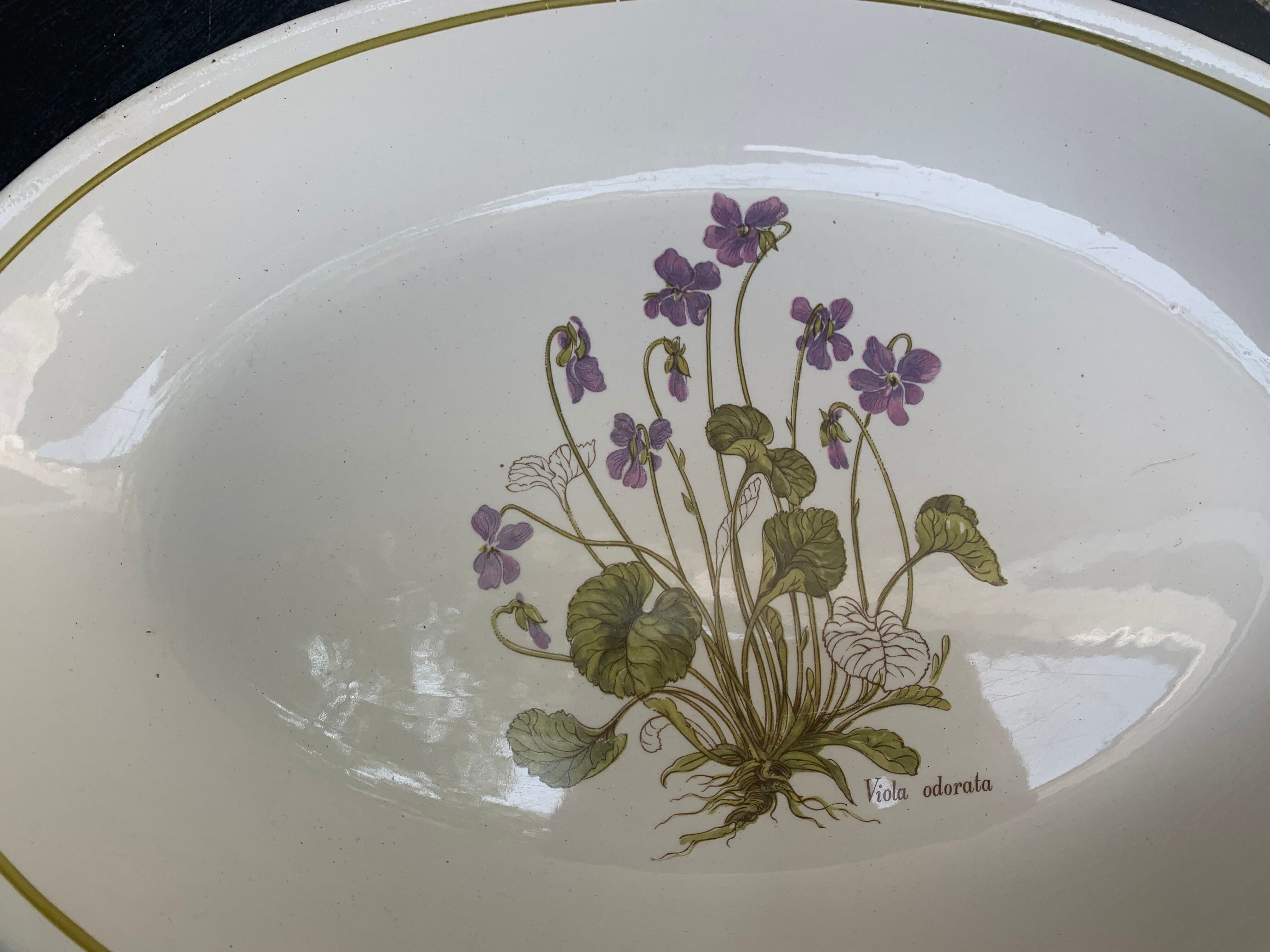 Serving dish in earthenware herbarium model, viola odorata mill of wolves orchies france vintage