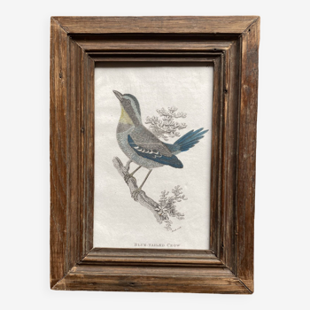 19th century English engraving, glazed wooden frame