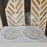 Arcoroc glass plates