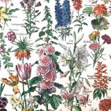 Ancient botanical plank flowers