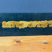 GOLD & BLACK Vintage ACCOUNTANT Glass Sign from 1970's Original MAN CAVE