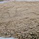 Tapis en laine naturelle traditionnelle authentique 2,5/3,5 m