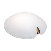Murano glass ceiling or wall lamp by Mazzega, 1980s