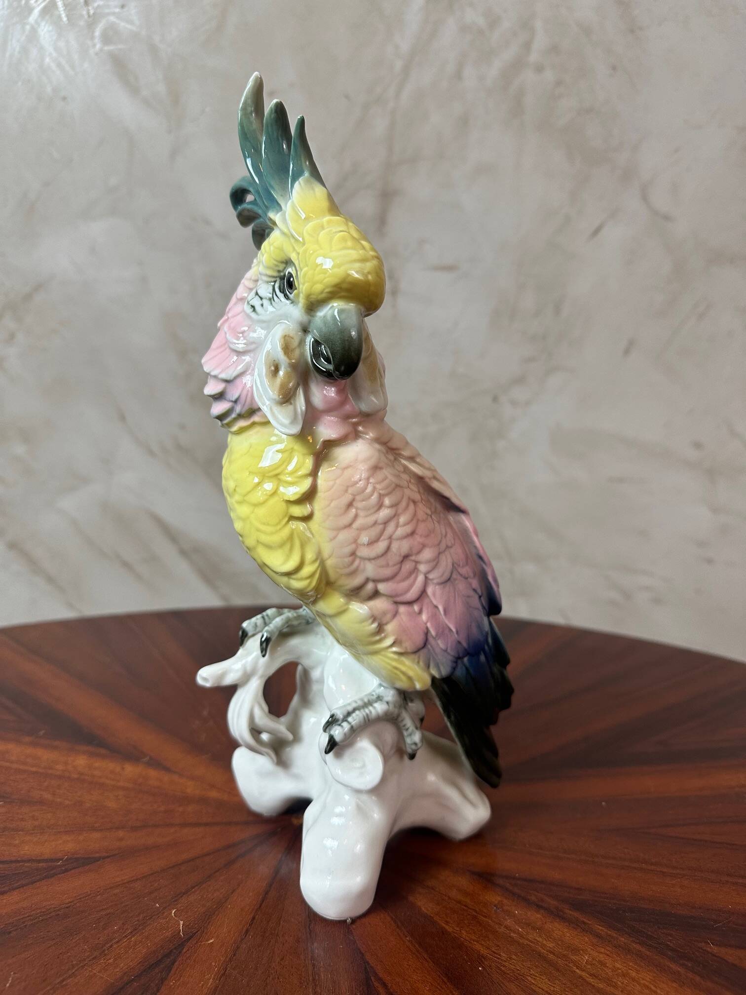 Saxony porcelain parrot