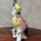 Saxony porcelain parrot