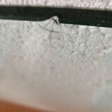 Monnet Francois coffee table 70