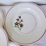 5 flat plates from Salins